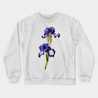 Bearded Iris 'Going My Way' Crewneck Sweatshirt